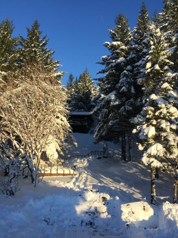Lovely Cabin In The Capital Area With Hot Tube ハフナルフィヨルズゥル エクステリア 写真